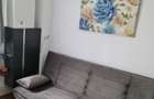 Ofer spre inchiriere garsoniera Vasile Aaron recent renovata - 1