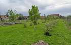 Casa cu mansarda in Ernei, situata intr-o zona linistita - 3