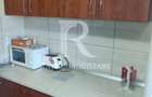 Apartament cu 3 camere de inchiriat | Centrul Civic | Oradea - 15