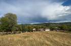 Proprietate cu Doua Case - 8