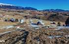 Comision 0%| Teren intravilan Sirnea 3756 mp| Priveliste superba - 6