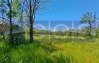 Casa Taraneasca | Teren 3000 Mp | Deschidere 52 M | Comuna Ciolanesti - 2