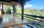 INVESTITIE Vila moderna + vila la rosu, teren 1480 padure - 16