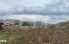 Teren Pentru Constructii 9292 mp- zona Cuzdrioara - 1