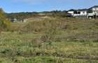 Teren Colonia Valea Fanatelor - 1