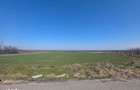 Teren de vanzare, 3800 mp, zona Mischii sat Gogosesti - 2
