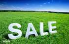 Teren agricol 300ha zona Sibiu-Agnita - 1
