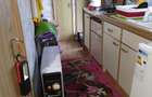 Vand casa mobila 3 camere complet mobilata cu teren extravilan 670mp in comuna Rasca - 3
