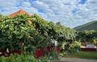 Proprietate 2500 mp cu 2 case, gradina, acces la padure - Hida, Salaj - 5