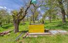 Proprietate rara cu 24.270 mp, in Magulicea, Arad! - 5
