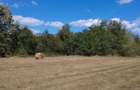Teren de 10500 mp, în Nadăș - 1