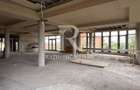 Proprietate | D+P+1+M | Destinata activitatii comerciale | Oradea