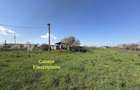 Teren intravilan agricol 5.000 mp de vanzare Iepure?ti, Giurgiu - 5