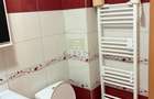 Apartament 2 camere de inchiriat-Zona Doamna Stanca - 10