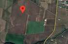 Golf tancabesti snagov 50,000MP - 1