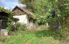 Casă cu Teren 935 Mp în Ribița - 2