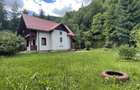 Oaza de liniste: casa + padure pana pe creasta muntelui - 19