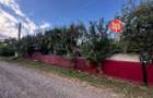 SE VINDE Gospodarie taraneasca, Valea Glodului (Vulturesti), jud. SV - 3