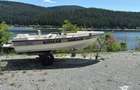 Teren 3.300 mp de vânzare | Lacul Beliș | Ponton și barcă disponibile - 5