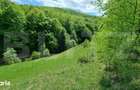 EXCLUSIVITATE! Teren extravilan, 5.400 mp, Comuna Iara, Valea Vadului - 5