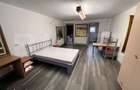 Garsoniera de inchiriat, 45 mp, Pet Friendly - USAMV, Manastur - 4