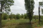 15000mp Ferma Liliac cu 47m deschidere la asfalt - 2