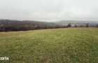 Teren deosebit 3,5HA zona Cisnadioara - 3