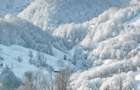 Teren premium 28.000 mp, 20.000 mp intravilan, langa Manastirea Poiana Sohodol - ideal investitie turistica - 3