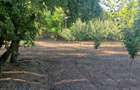 Casă în Bogdana - 7