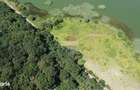 Teren 2404 mp la Lacul Murani langa padure concept Green and Blue