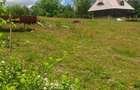 Teren Premium Intravilan ?uncuiu? (Pojorata) Panorama superba, padure - 7
