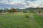 Teren de 2700 mp, în Brănești - 2