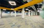 Spatii birouri premium Calea Chisinaului de la 30mp la 600mp - 16