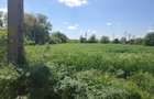Vanzare teren intravilan 1656 mp - doar 9500 euro - 1