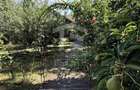 Casa autentica maramureseana de vanzare in Snagov-Tancabesti - 11