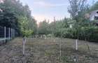 Cabana Valea Avrigului - 1