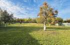 De vanzare doua case - 3