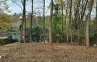 Vila pe malul lacului, 6 camere, Snagov - 4