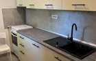 Apartament de inchiriat piata Domenii/Casin - 3