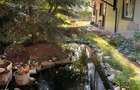 Apartament 2 camere decomandat, cu curte, Drumul Fermei - 2