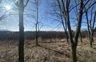 Teren Intravilan 60.000mp - 2