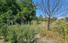 Casa 2 camere, 65 mp, 847 mp teren, zona Unirea - 13