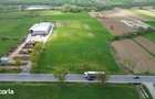 Teren 15782 mp cu deschidere la E60 in Auseu, Bihor,Gaminvest,V4541d
