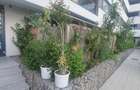 Studio dublu la parter cu gradina proprie! - 3