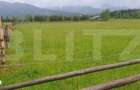 Teren extravilan, 6200 mp, zona Saru Dornei - Vatra Dornei - 1