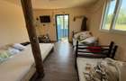 Vand teren cu o casa si o cabanuta - 3