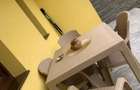 Calea Urseni – Giroc | Casă insiruita P+1 | Mobilată complet | 2 parcări - 14