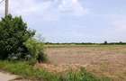 Proiect Greenfield, S.216.967mp, P.U.Z.-Hale, Rezidential, Ilfov. - 8