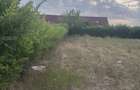 Teren 750 mp / Forvilla / Biharia / Toate utilitatile in fata terenului - 2
