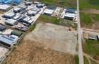 Teren 10.000 mp Domnesti - Centura Bucuresti - Betonare si imprejmuire - 1